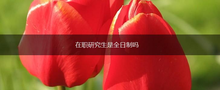 在职研究生是全日制吗,第1张