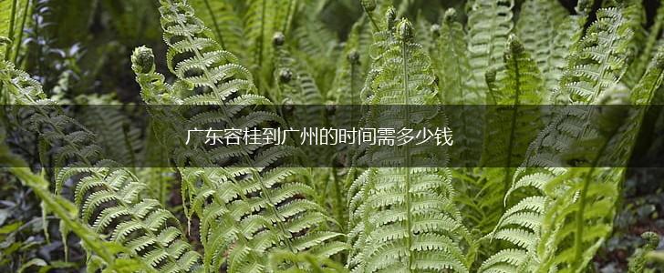 广东容桂到广州的时间需多少钱,第1张