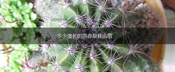 多少漫长的黑夜是什么歌,第1张