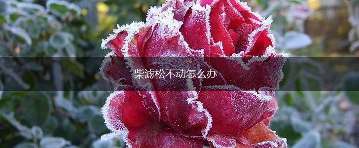 柴滤松不动怎么办,第1张