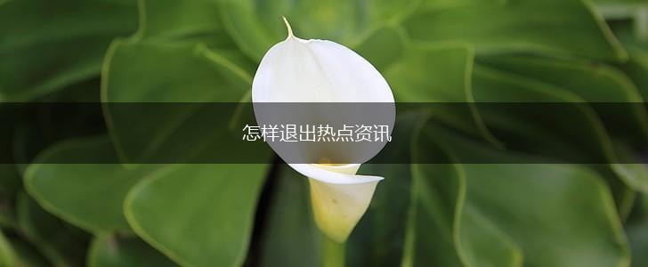 怎样退出热点资讯,第1张