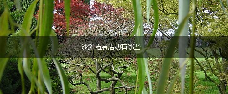 沙滩拓展活动有哪些,第1张
