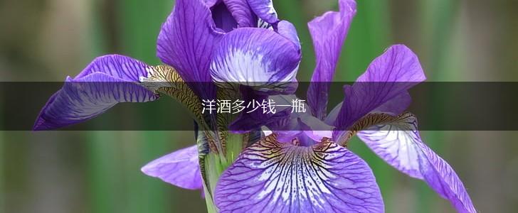 洋酒多少钱一瓶,第1张