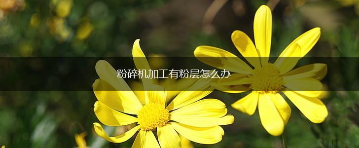 粉碎机加工有粉层怎么办,第1张