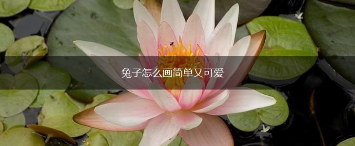 兔子怎么画简单又可爱,第1张