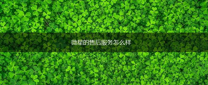 微星的售后服务怎么样,第1张