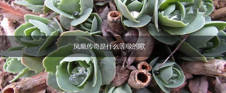 凤凰传奇是什么等级的歌,第1张