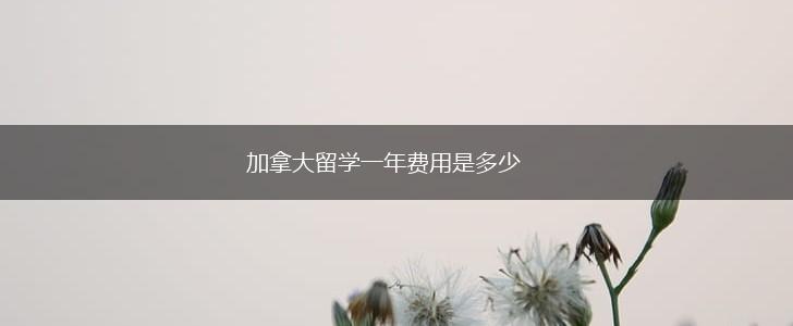 加拿大留学一年费用是多少,第1张