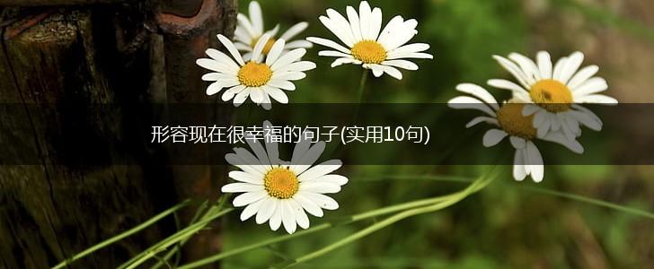 形容现在很幸福的句子(实用10句),第1张