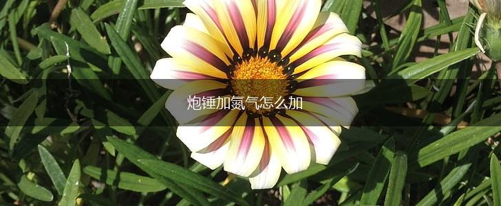 炮锤加氮气怎么加,第1张
