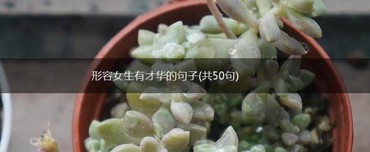 形容女生有才华的句子(共50句),第1张