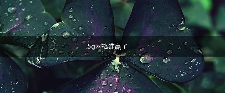 5g网络谁赢了,第1张
