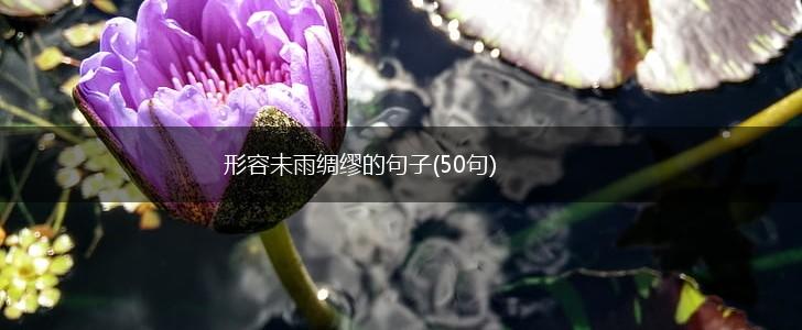 形容未雨绸缪的句子(50句),第1张