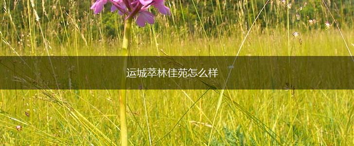 运城萃林佳苑怎么样,第1张