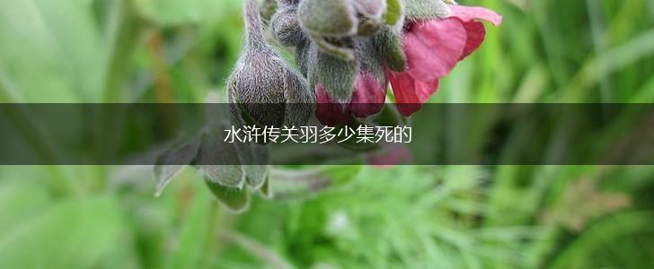 水浒传关羽多少集死的,第1张