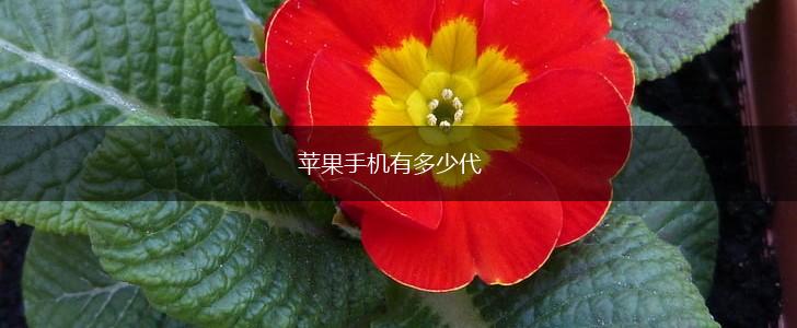 苹果手机有多少代,第1张
