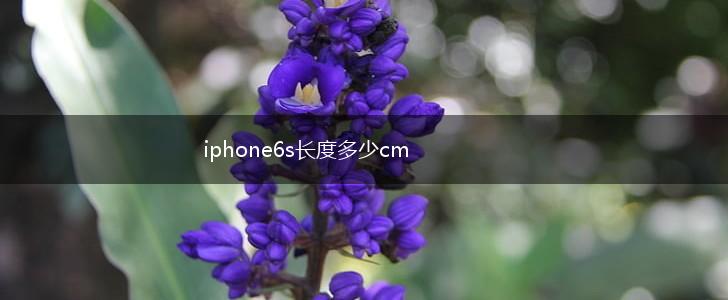iphone6s长度多少cm,第1张