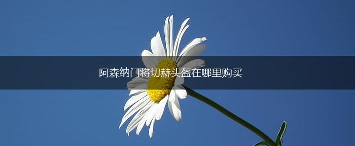 阿森纳门将切赫头盔在哪里购买,第1张