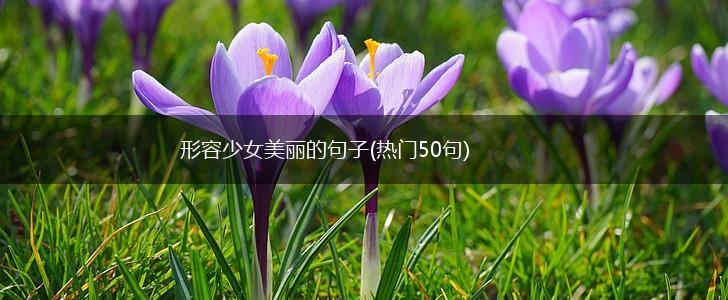 形容少女美丽的句子(热门50句),第1张