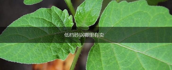 低档砂锅哪里有卖,第1张