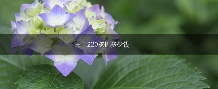三一220挖机多少钱,第1张