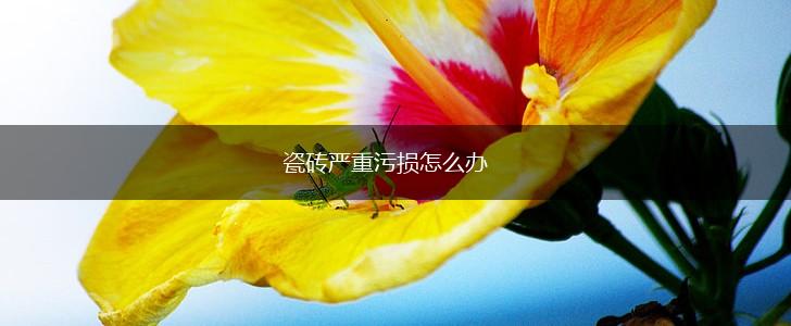 瓷砖严重污损怎么办,第1张