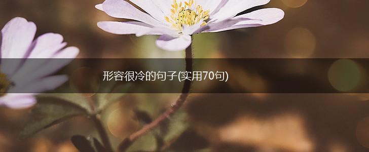 形容很冷的句子(实用70句),第1张