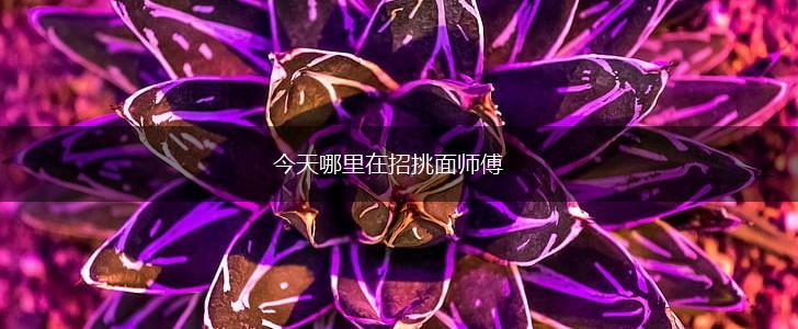 今天哪里在招挑面师傅,第1张