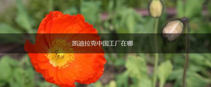 凯迪拉克中国工厂在哪,第1张