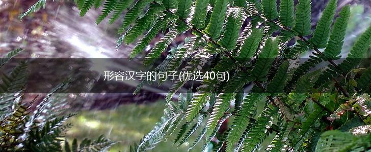 形容汉字的句子(优选40句),第1张