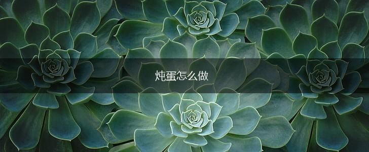 炖蛋怎么做,第1张