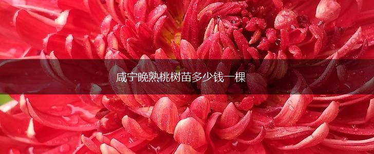 咸宁晚熟桃树苗多少钱一棵,第1张
