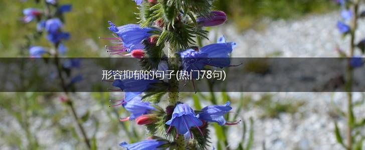 形容抑郁的句子(热门78句),第1张