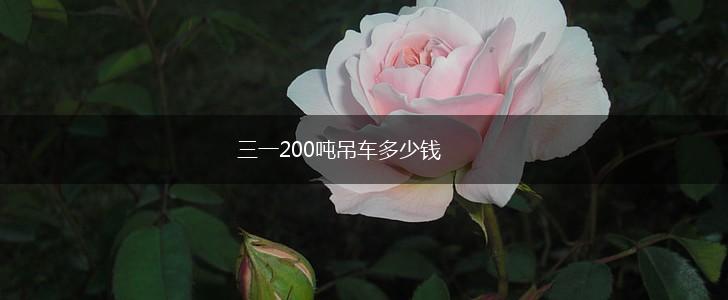 三一200吨吊车多少钱,第1张