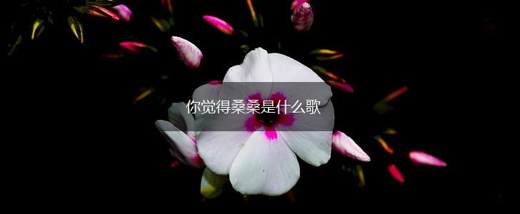 你觉得桑桑是什么歌,第1张