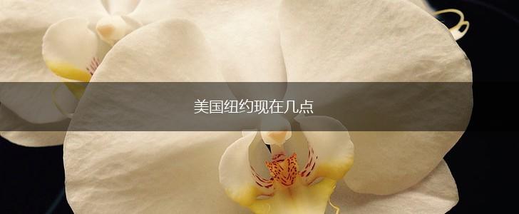 美国纽约现在几点,第1张