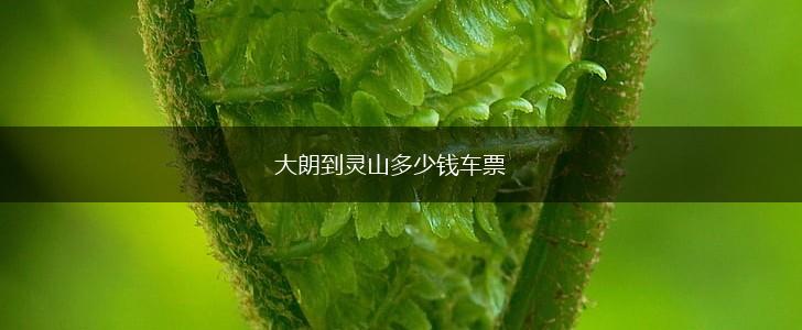 大朗到灵山多少钱车票,第1张