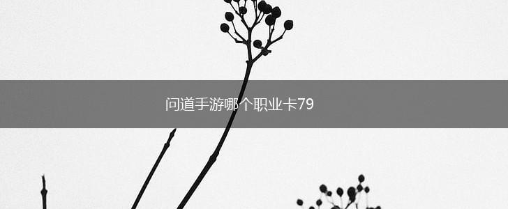 问道手游哪个职业卡79,第1张