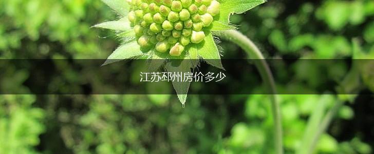 江苏邳州房价多少,第1张