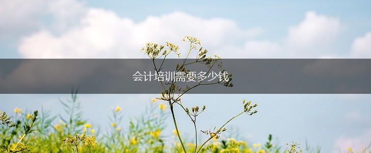 会计培训需要多少钱,第1张