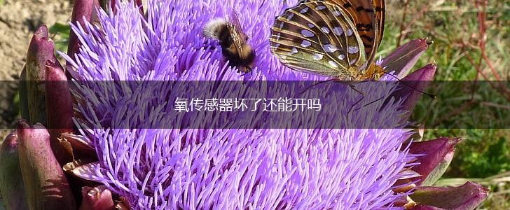 氧传感器坏了还能开吗,第1张