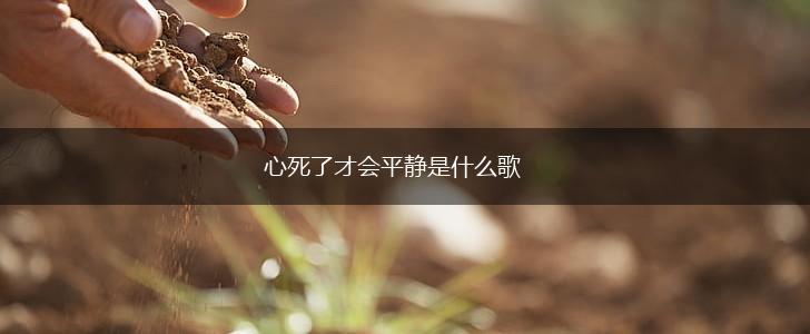 心死了才会平静是什么歌,第1张