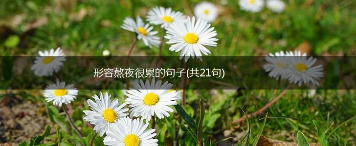 形容熬夜很累的句子(共21句),第1张