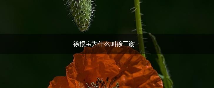 徐根宝为什么叫徐三谢,第1张