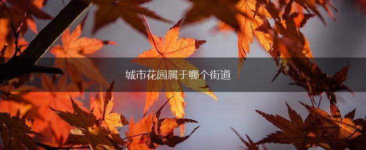 城市花园属于哪个街道,第1张