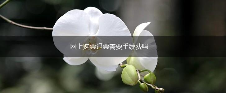 网上购票退票需要手续费吗,第1张