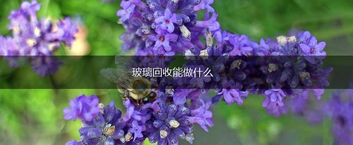 玻璃回收能做什么,第1张
