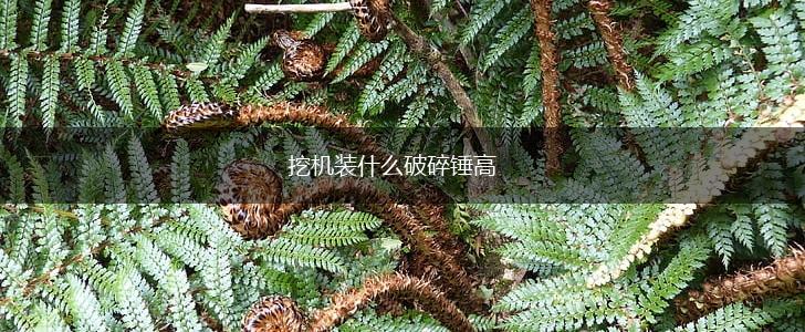 挖机装什么破碎锤高,第1张