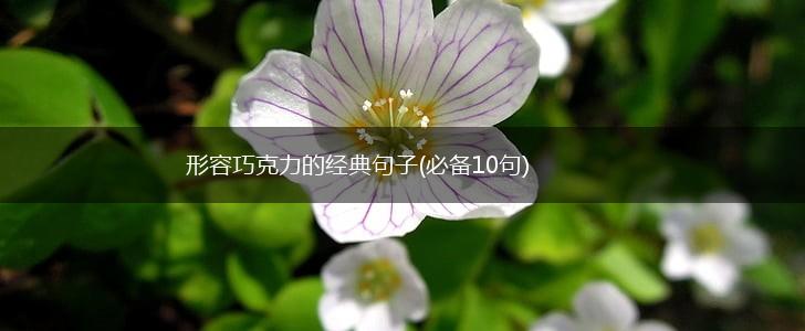 形容巧克力的经典句子(必备10句),第1张