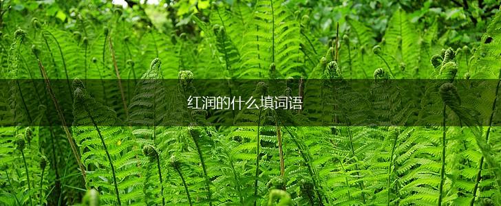 红润的什么填词语,第1张
